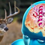 chronic-wasting-disease-fb